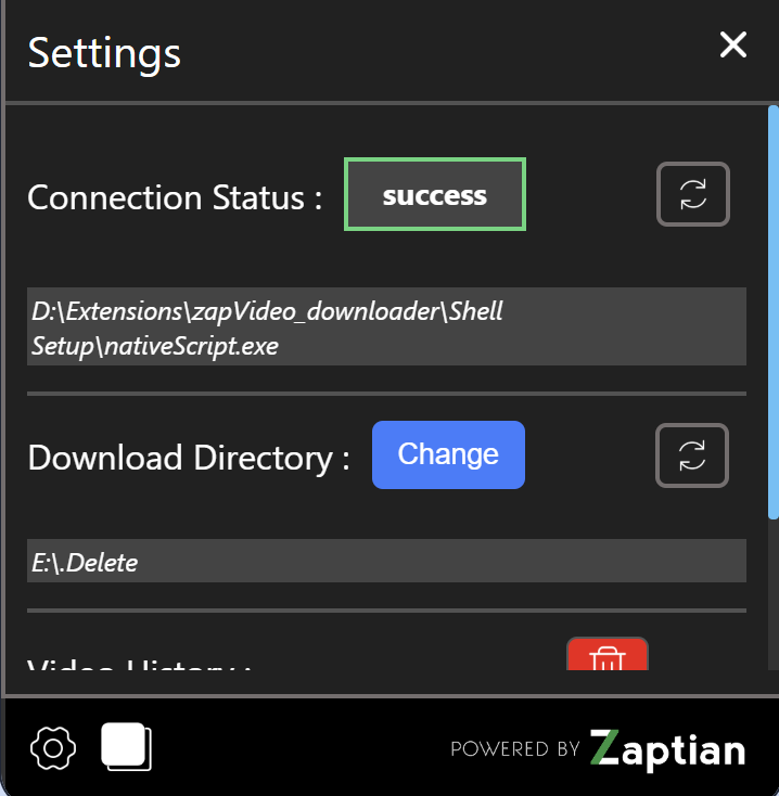 ZapVideo Connection Status