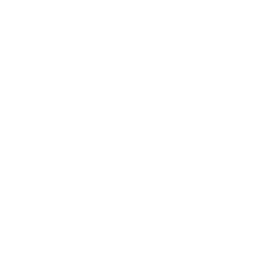 video icon