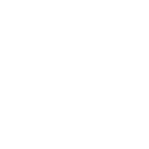 video icon
