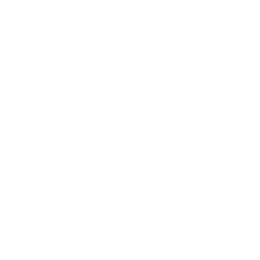 video icon