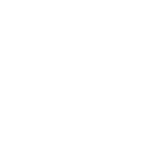 video icon